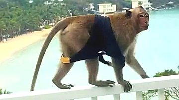 Moments by KameraOne