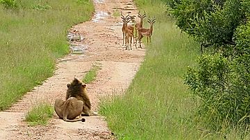 Εν συντομία
