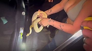 Εν συντομία