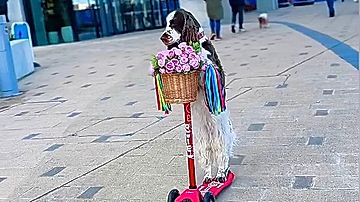 Εν συντομία