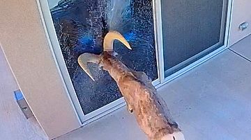 Εν συντομία