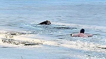 Moments by KameraOne